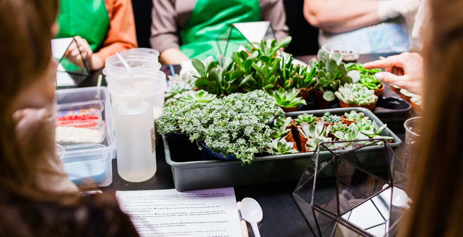 The image shows an eco-friendly event with guests seated around a table decorated with plants. The dominant color is green, enhancing the natural and sustainable atmosphere. - Eventdrive blog post