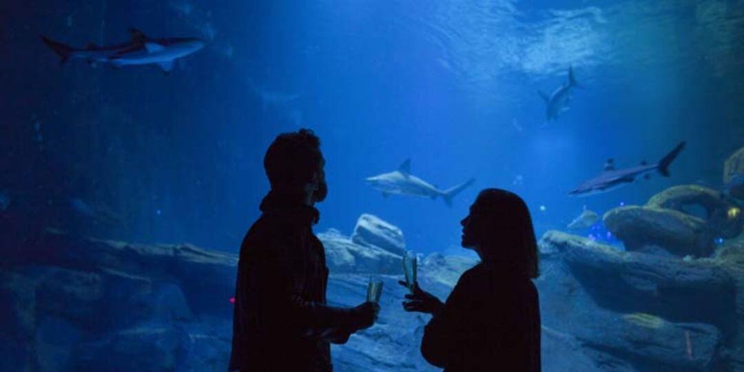 Photo de l’aquarium de Paris