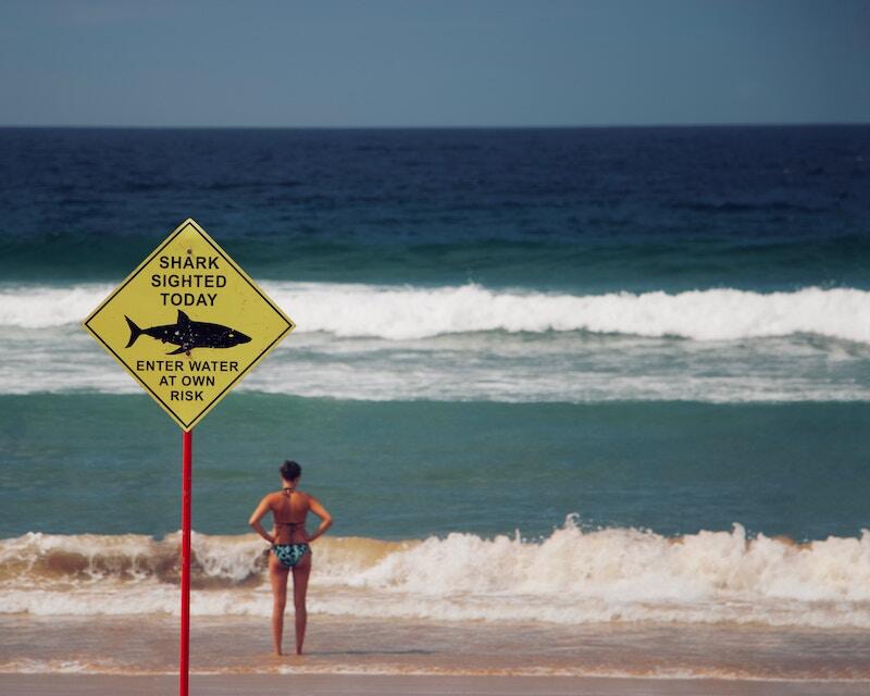 Une femme se tient près de l'océan, à côté d'un panneau indiquant 'Attention aux requins', regardant l'horizon avec prudence. - Article de blog Eventdrive