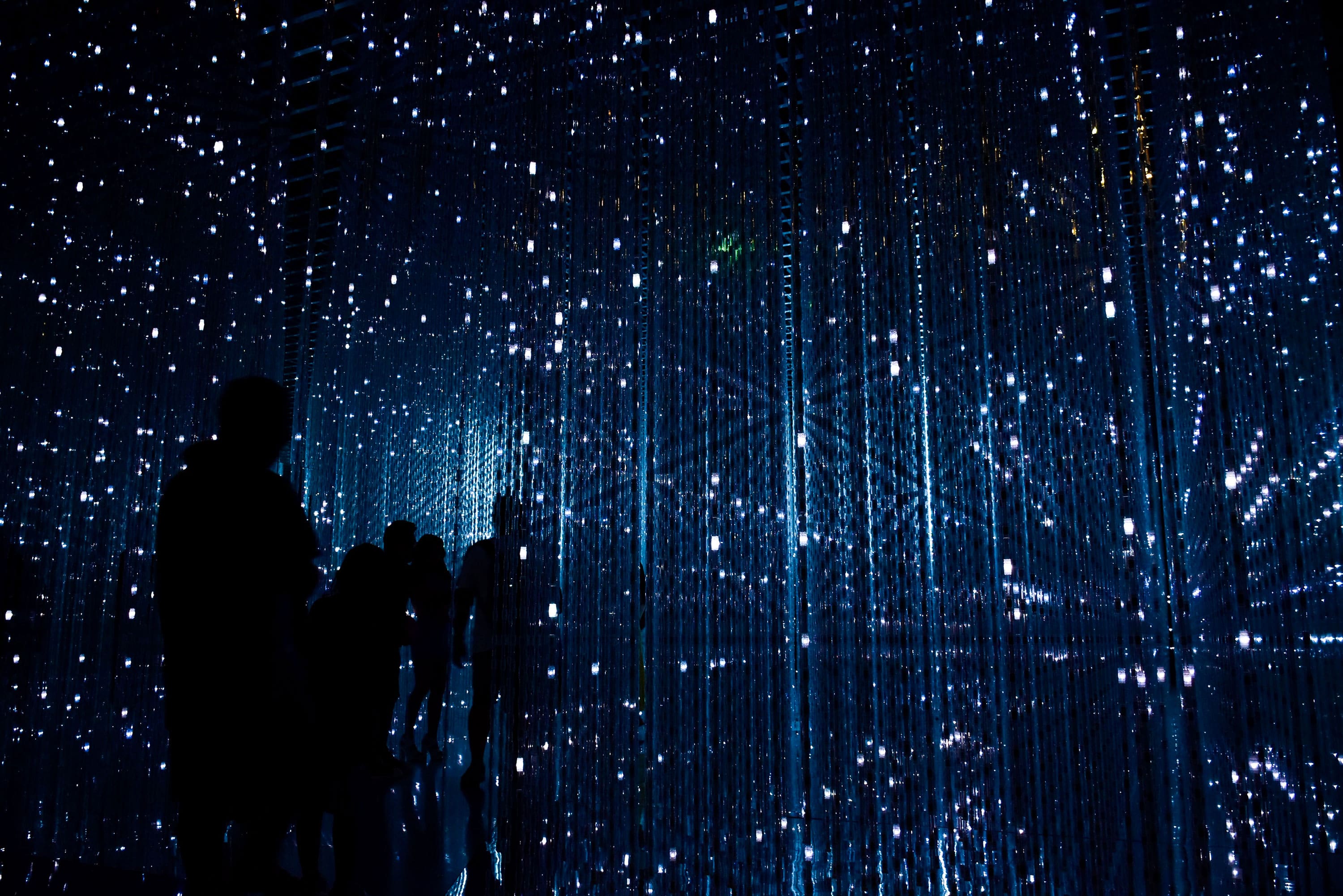 Silhouettes Move Through an Immersive Installation Illuminated by Thousands of Tiny, Twinkling Suspended Lights. - Eventdrive Blog Article